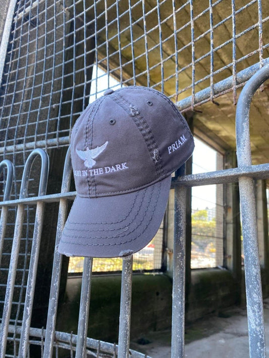 Grey distressed cap with "LIGHT IN THE DARK" embroidered on the front and a white dove above, symbolizing hope in dark moments.