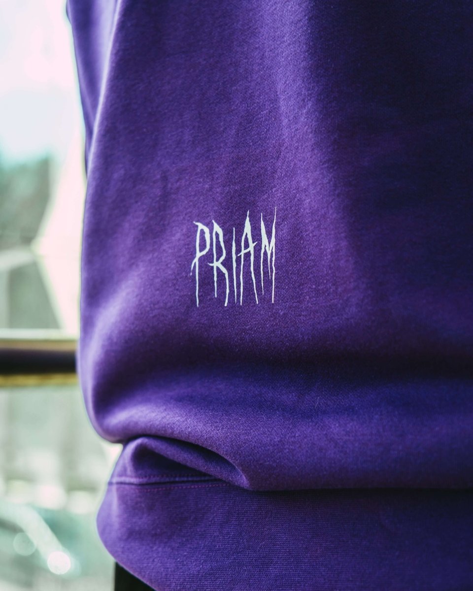 DARK FANTASY hoodie detail with graphic print