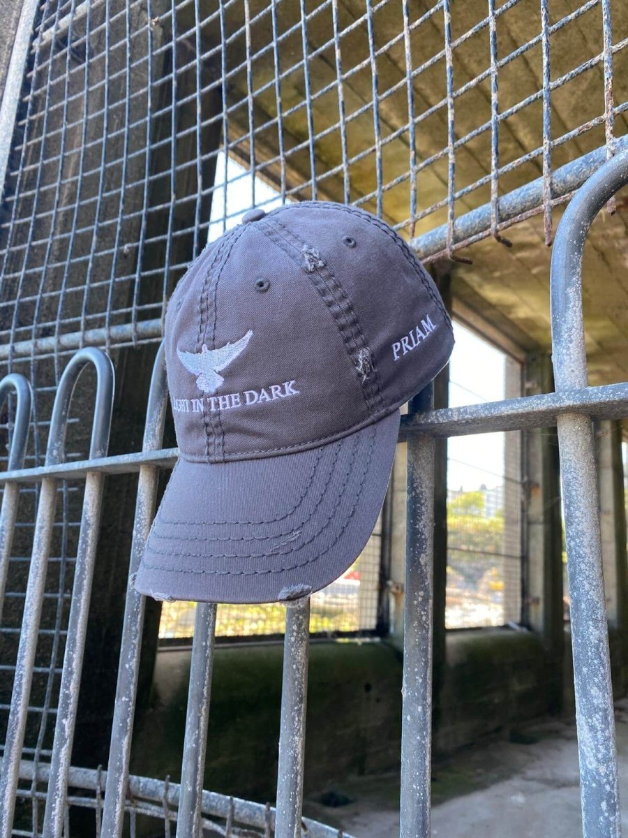 LIGHT IN THE DARK cap with white dove embroidery